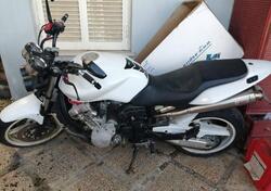 Honda Hornet 900 usata