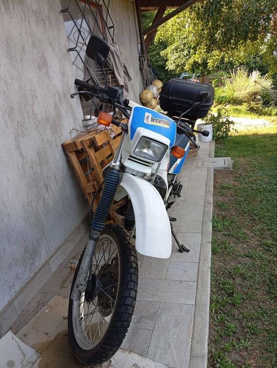 Honda XL 600 R (1983 - 86) (2)