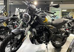 Voge Trofeo 525ACX Scrambler (2023 - 25) nuova