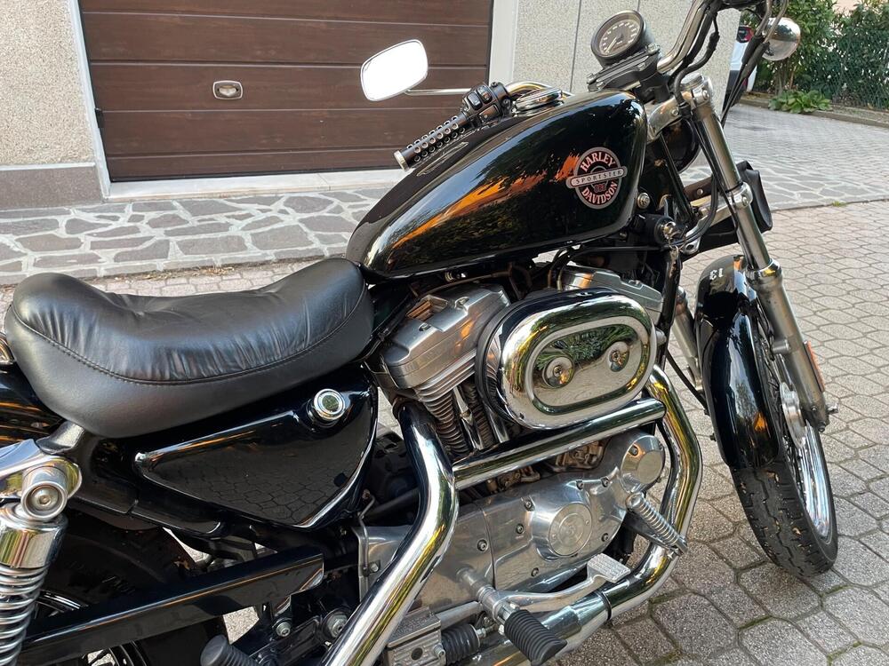 Harley-Davidson 883 Standard (2001 - 05) - XL 883