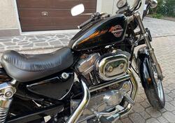 Harley-Davidson 883 Standard (2001 - 05) - XL 883 usata