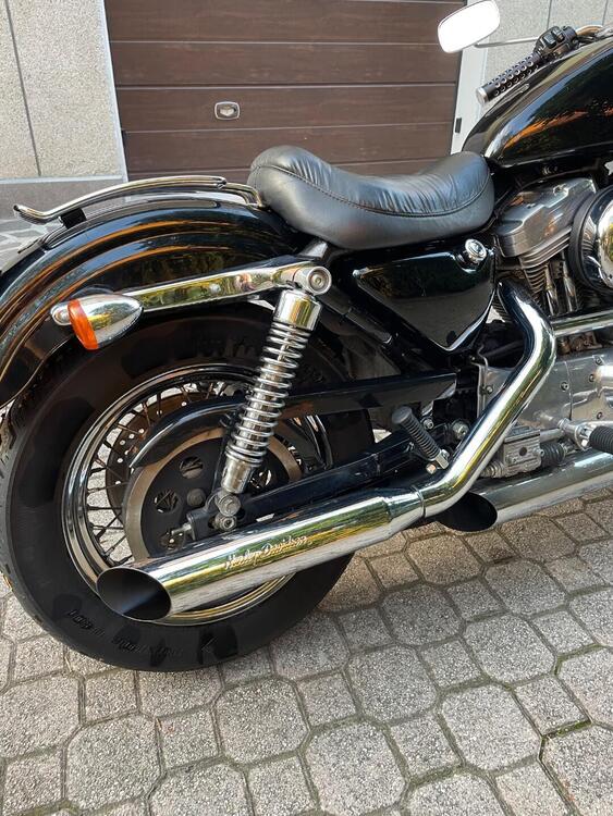 Harley-Davidson 883 Standard (2001 - 05) - XL 883 (2)