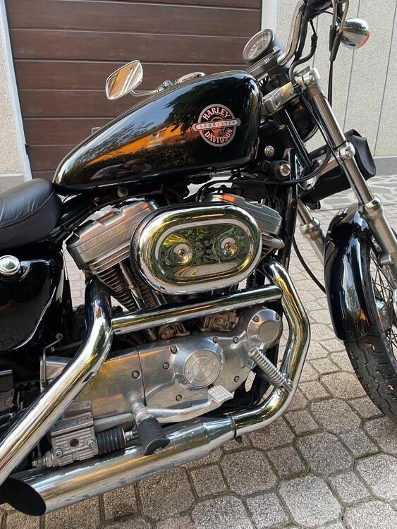 Harley-Davidson 883 Standard (2001 - 05) - XL 883 (3)