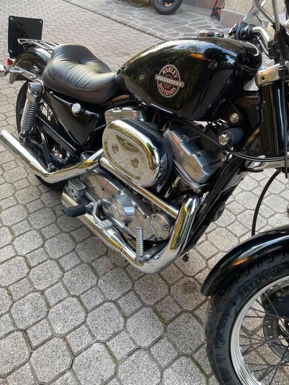 Harley-Davidson 883 Standard (2001 - 05) - XL 883 (4)