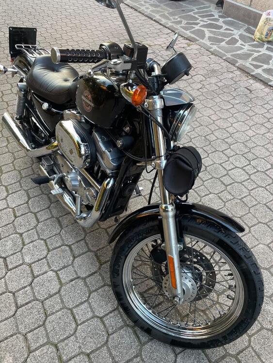 Harley-Davidson 883 Standard (2001 - 05) - XL 883 (5)