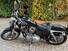 Harley-Davidson 883 Standard (2001 - 05) - XL 883 (11)