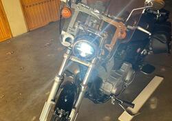 Harley-Davidson 883 (2006 - 07) - XL usata