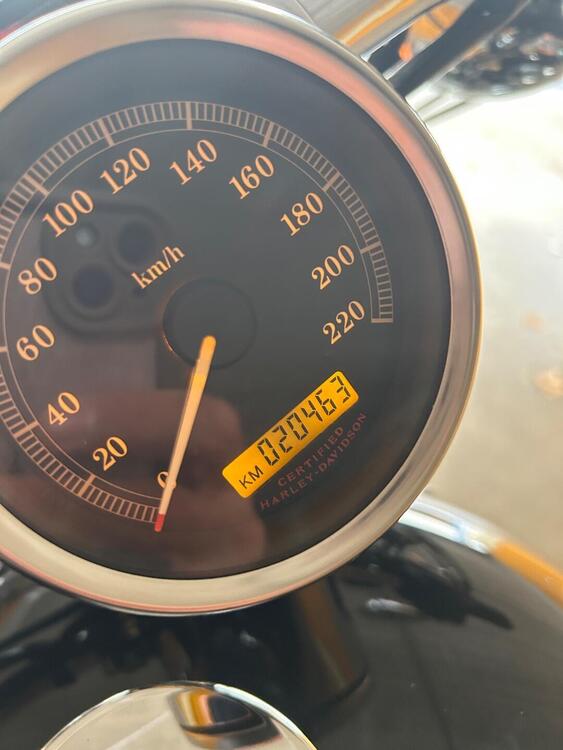 Harley-Davidson 883 (2006 - 07) - XL (4)