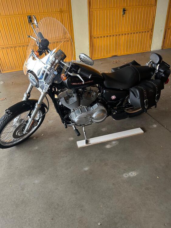 Harley-Davidson 883 (2006 - 07) - XL (5)