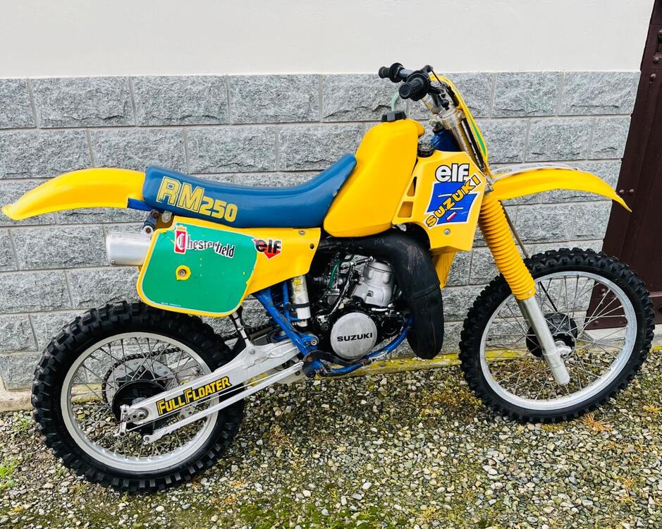 Suzuki RM 250 (2)