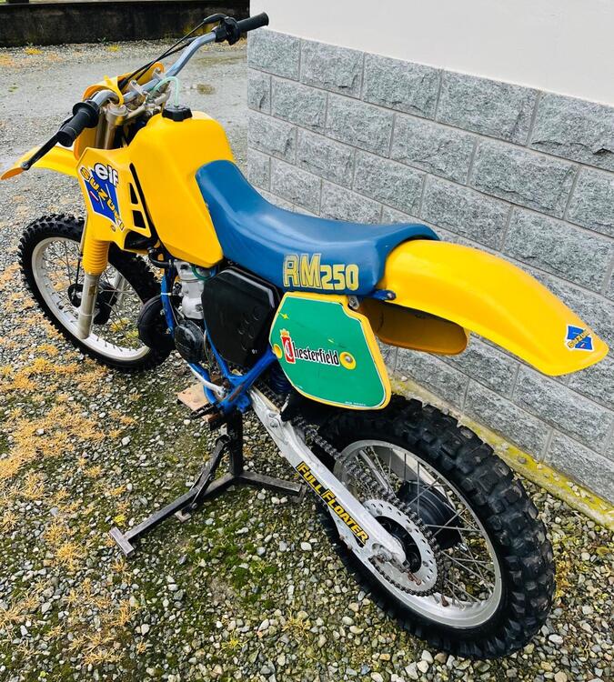 Suzuki RM 250 (4)