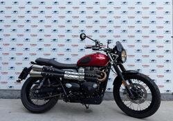 Triumph Street Scrambler 900 (2021 - 22) usata