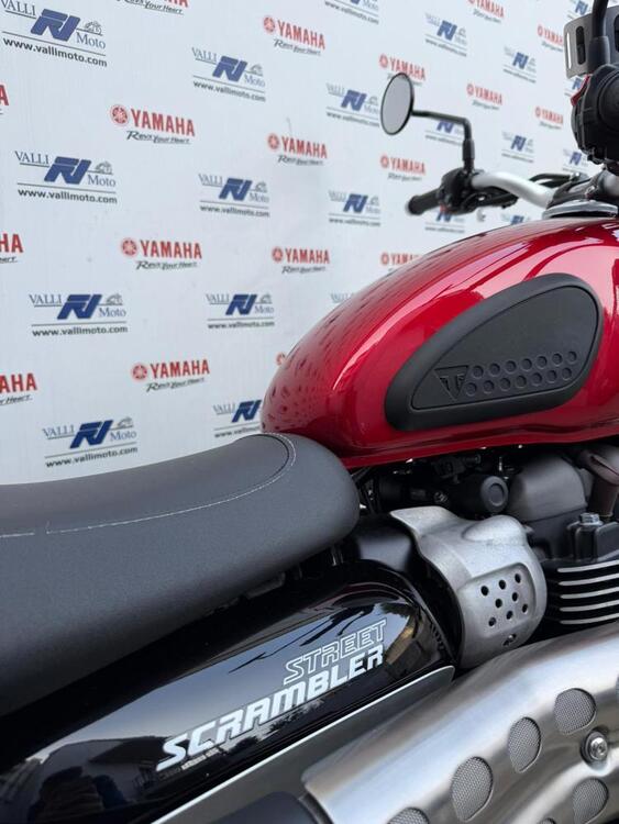 Triumph Street Scrambler 900 (2021 - 22) (5)