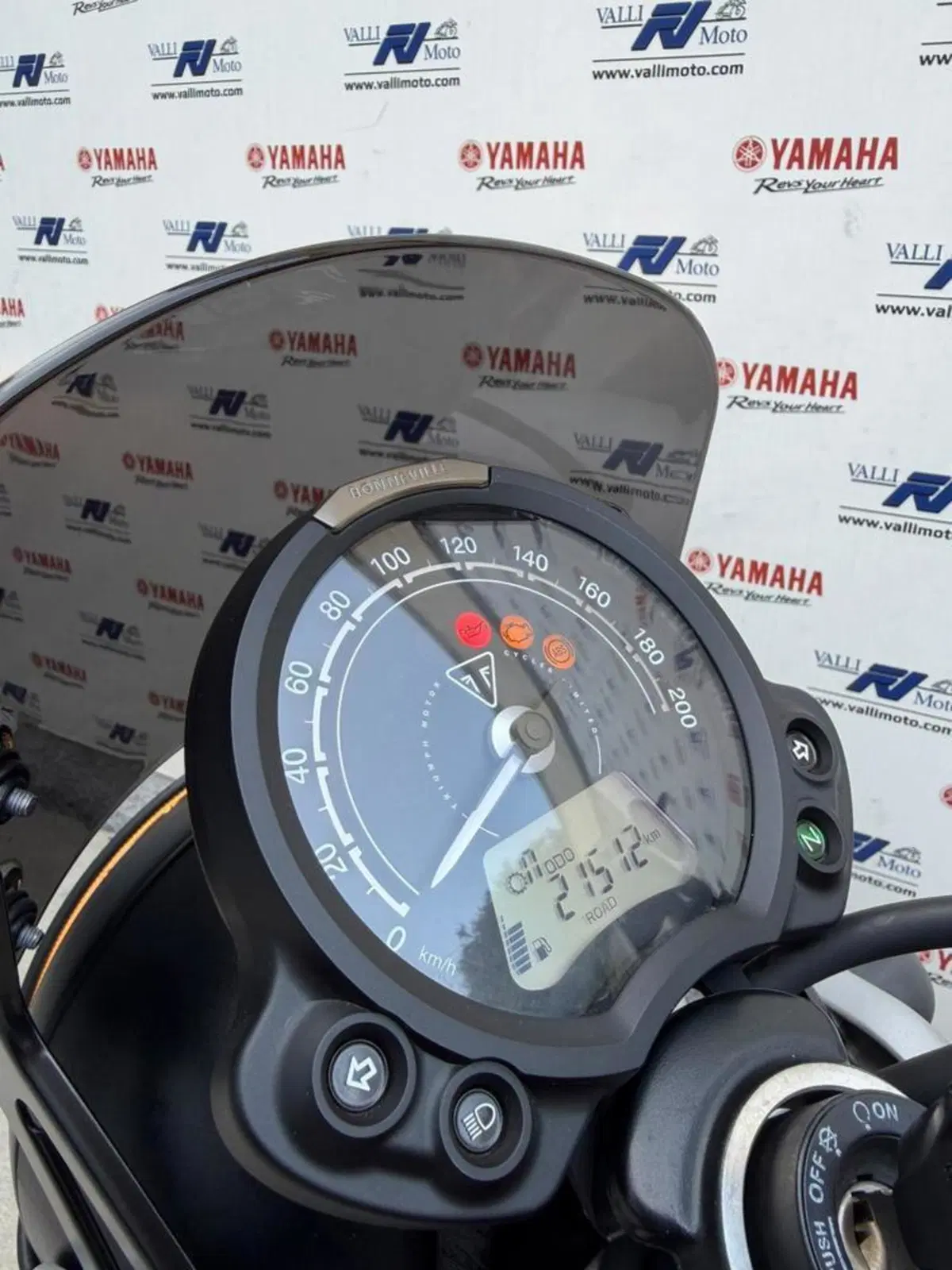 Triumph Street Scrambler 900 (2021 - 22) (7)