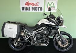 Triumph Tiger 800 XC (2011 - 12) usata