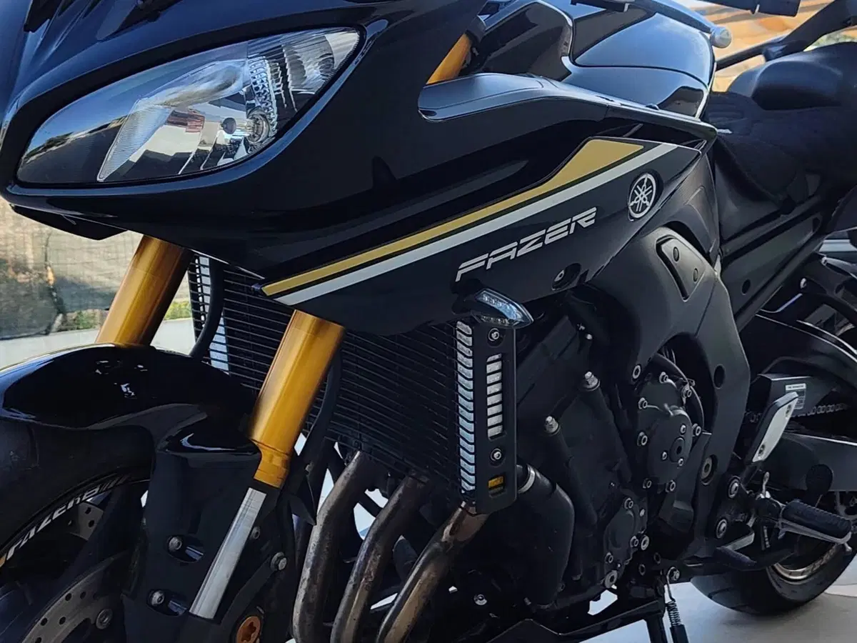 Yamaha Fazer 8 (2010 - 16) (3)