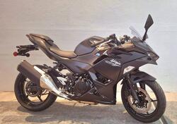Kawasaki Ninja 500 (2024 - 26) nuova