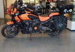 Harley-Davidson Pan America 1250 (2020 - 25) usata