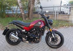 Benelli Leoncino 500 ABS (2017 - 20) usata