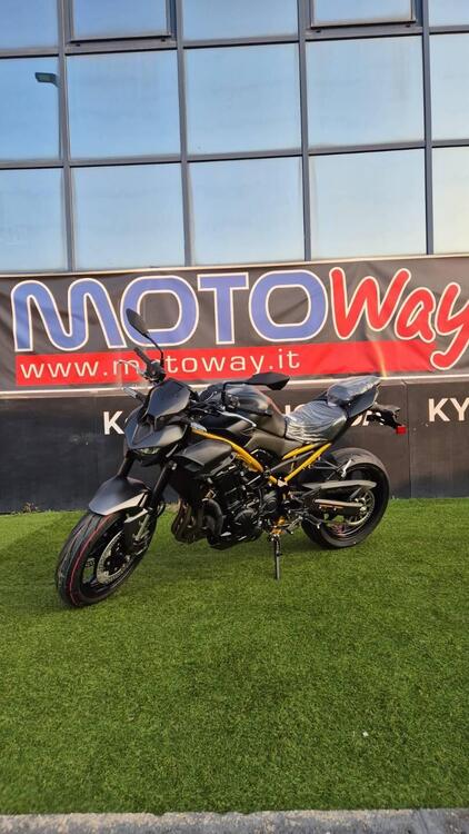 Kawasaki Z 900 (2025 - 26)