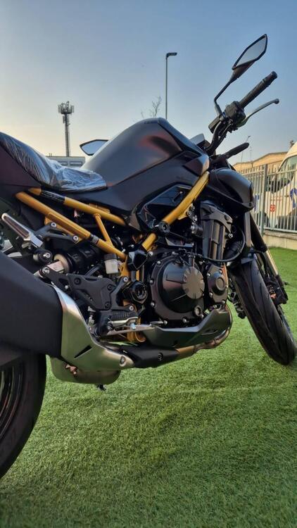Kawasaki Z 900 (2025 - 26) (3)