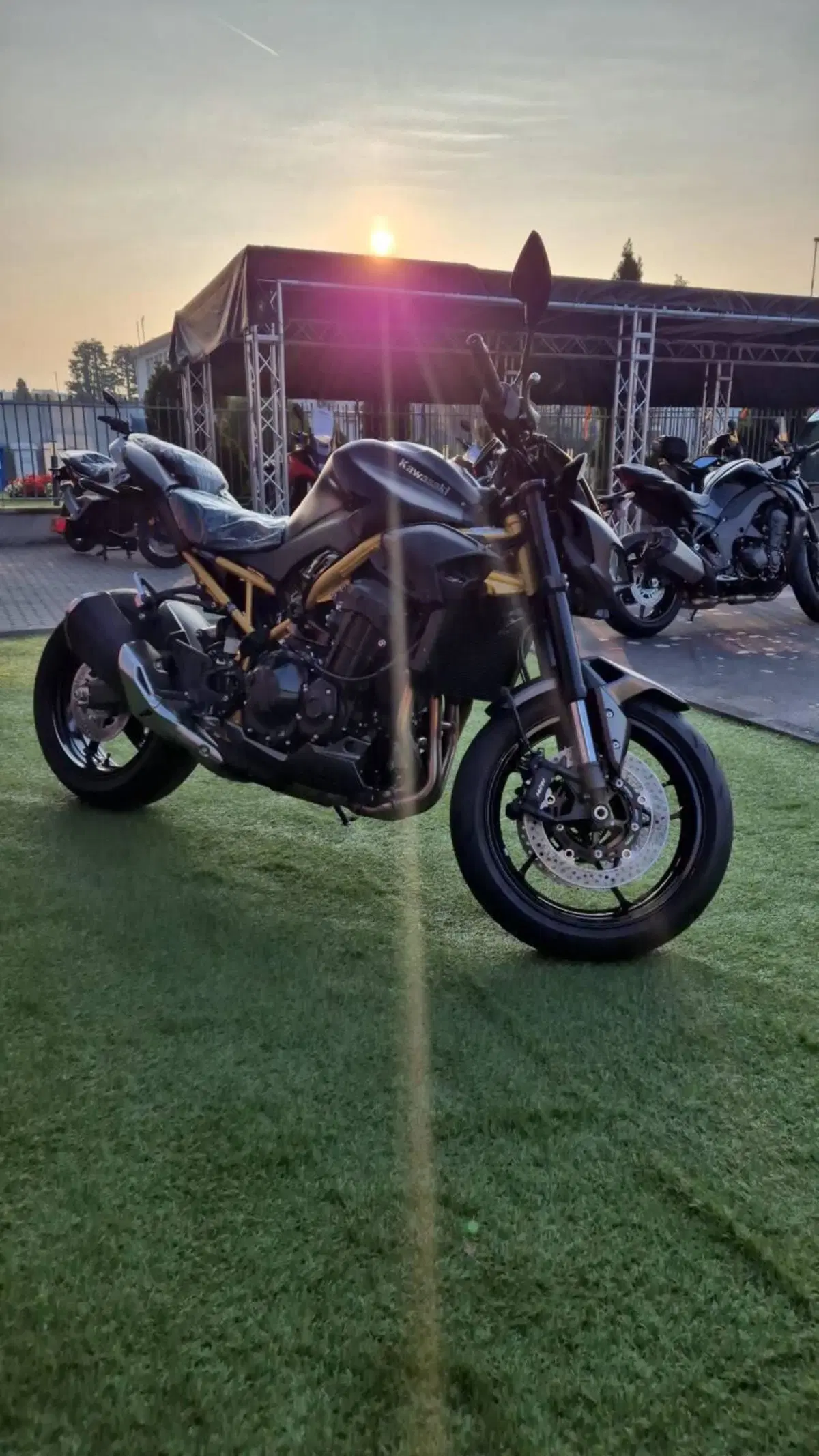 Kawasaki Z 900 (2025 - 26) (6)