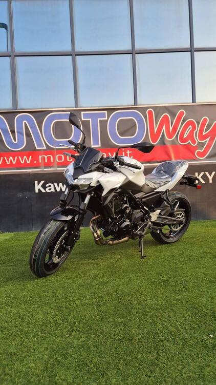 Kawasaki Z 650 (2025 - 26)