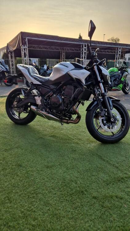 Kawasaki Z 650 (2025 - 26) (4)