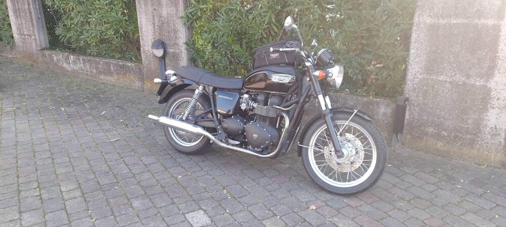Triumph Bonneville 800 (2002 - 07) (3)