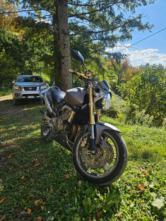 Honda Hornet 600 (2005 - 06)