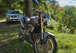 Honda Hornet 600 (2005 - 06) usata
