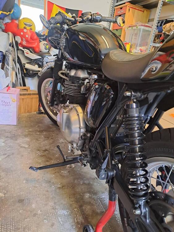 Triumph Thruxton 900 (2004 - 15) (3)