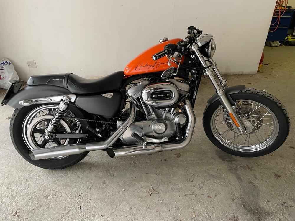 Harley-Davidson 883 (2006 - 07) - XL (2)