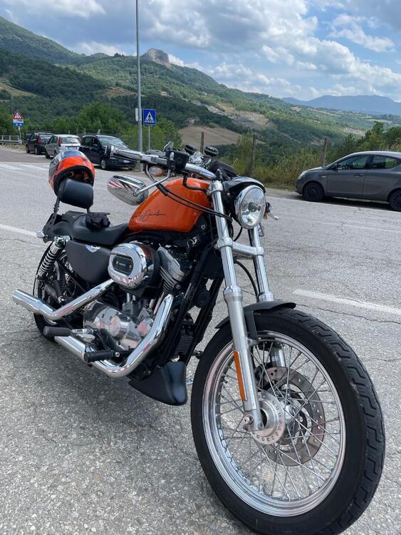 Harley-Davidson 883 (2006 - 07) - XL (3)