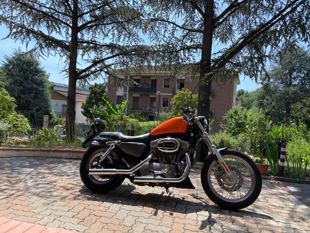 Harley-Davidson 883 (2006 - 07) - XL (4)