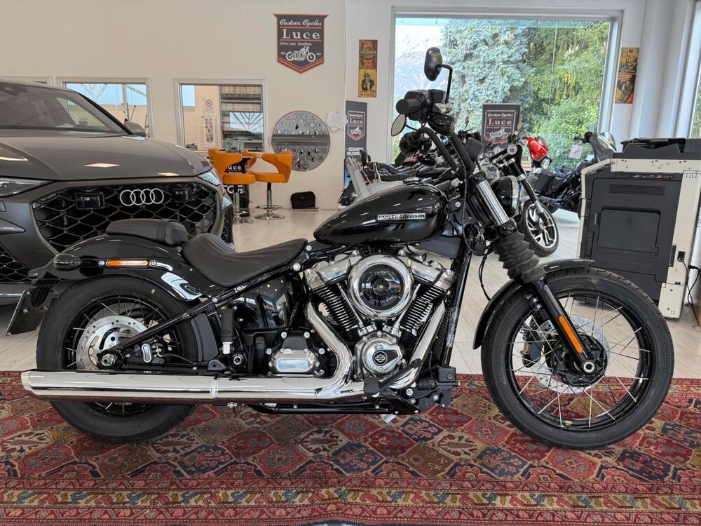 Harley-Davidson Street Bob 117 (2025) (2)