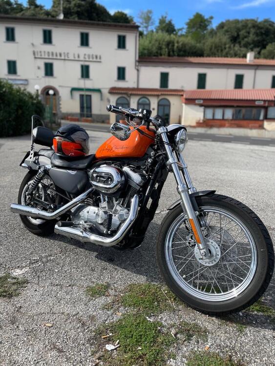 Harley-Davidson 883 (2006 - 07) - XL