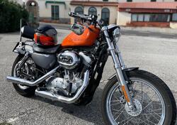 Harley-Davidson 883 (2006 - 07) - XL usata