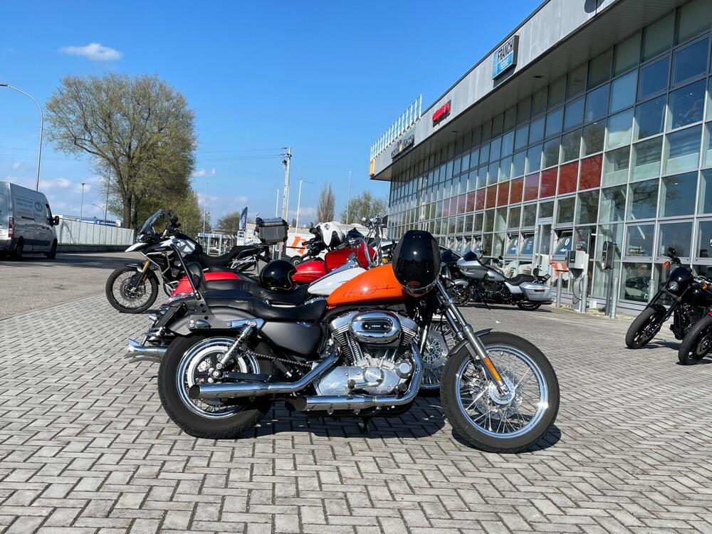 Harley-Davidson 883 (2006 - 07) - XL (5)