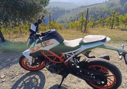 KTM 390 Duke ABS (2017 - 20) usata