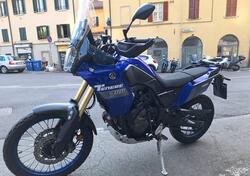 Yamaha Ténéré 700 (2022 - 24) usata