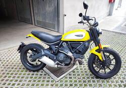 Ducati Scrambler 800 Icon (2017 - 20) usata