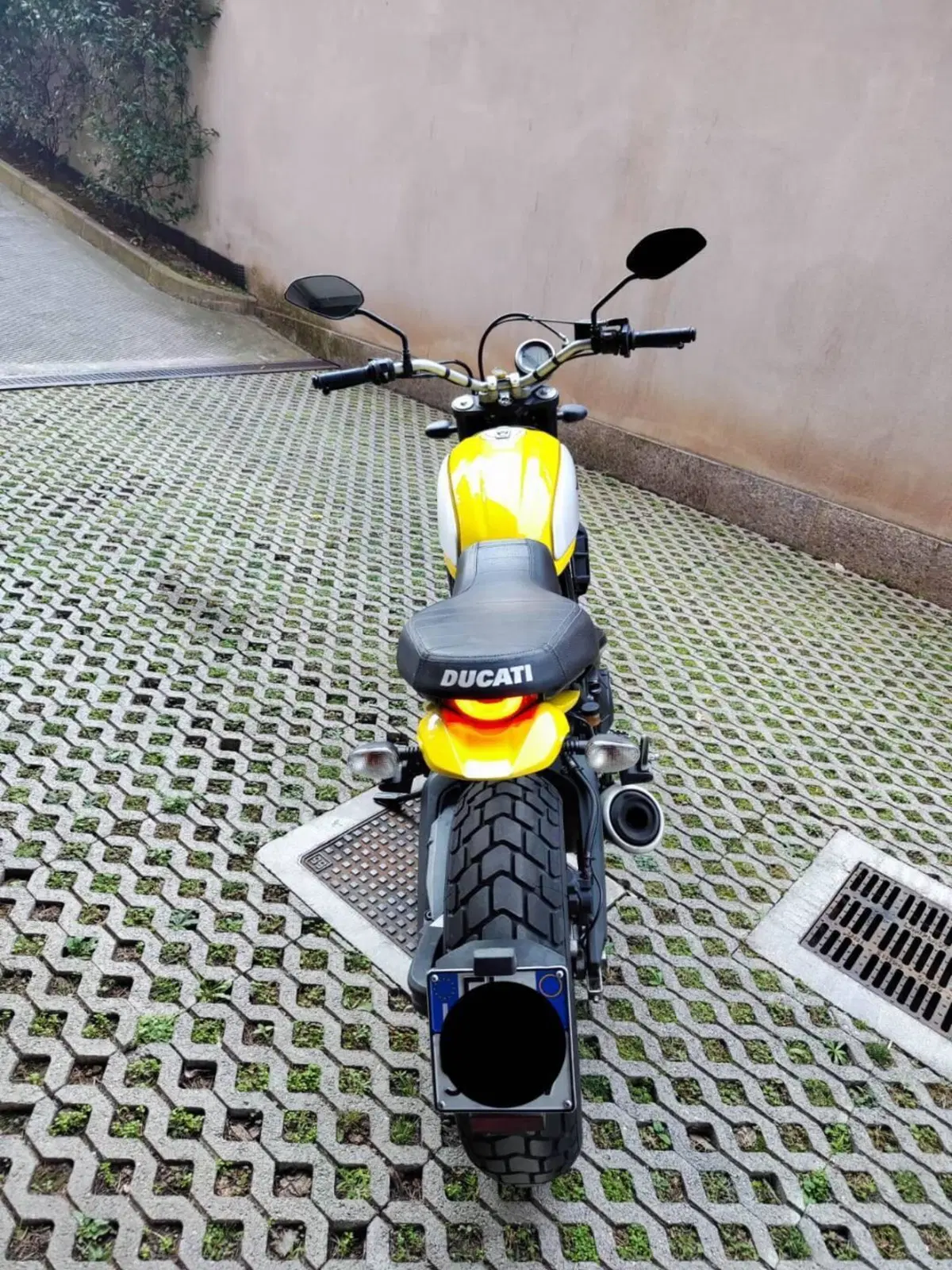 Ducati Scrambler 800 Icon (2017 - 20) (6)