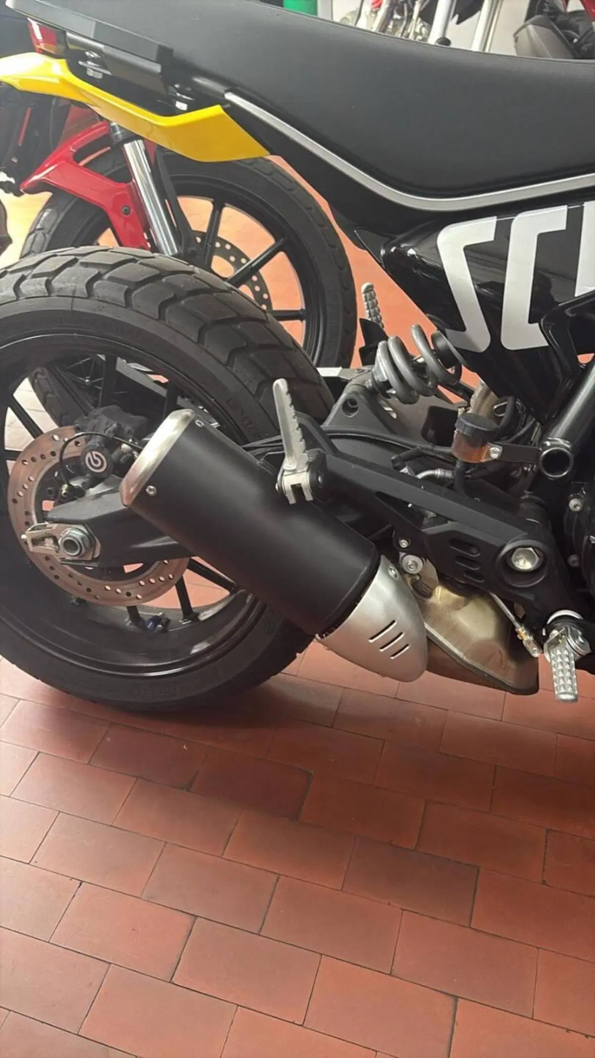 Ducati Scrambler 800 Icon (2023 - 24) (5)