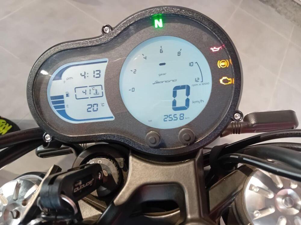 Benelli Leoncino 500 Trail (2021 - 25) (4)