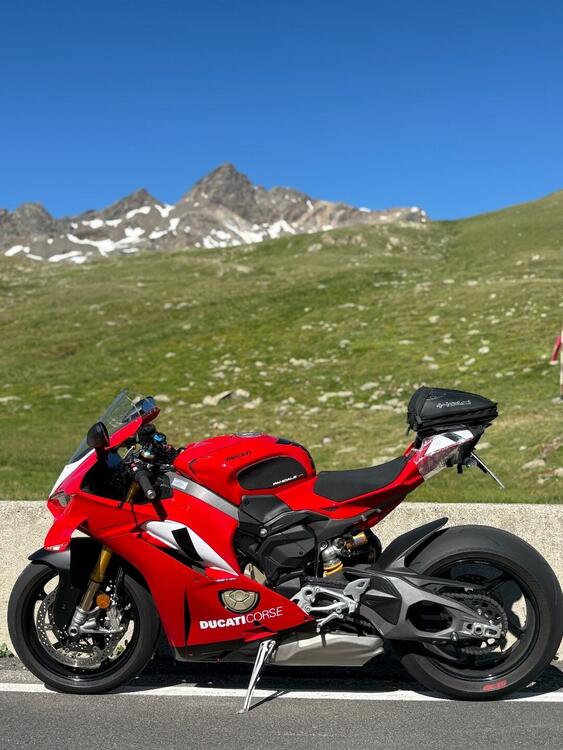 Ducati Panigale V4 S (2025) (5)