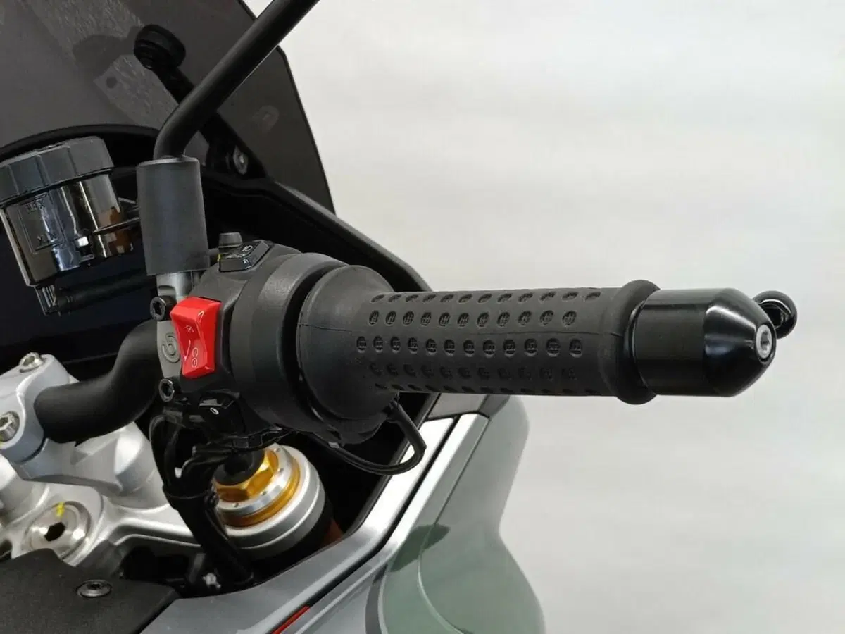 Moto Guzzi V100 Mandello S (2022 - 24) (8)