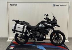 Triumph Tiger 900 GT Pro (2020 - 23) usata