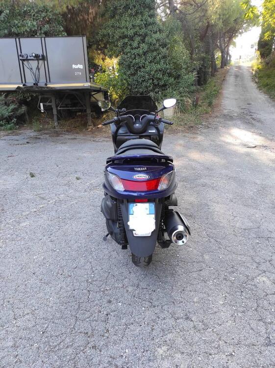 Yamaha Majesty 400 (2004 - 08) (2)