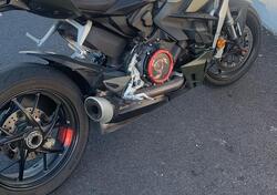 Ducati Streetfighter V2 (2022 - 24) usata